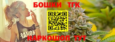 гашик Можга