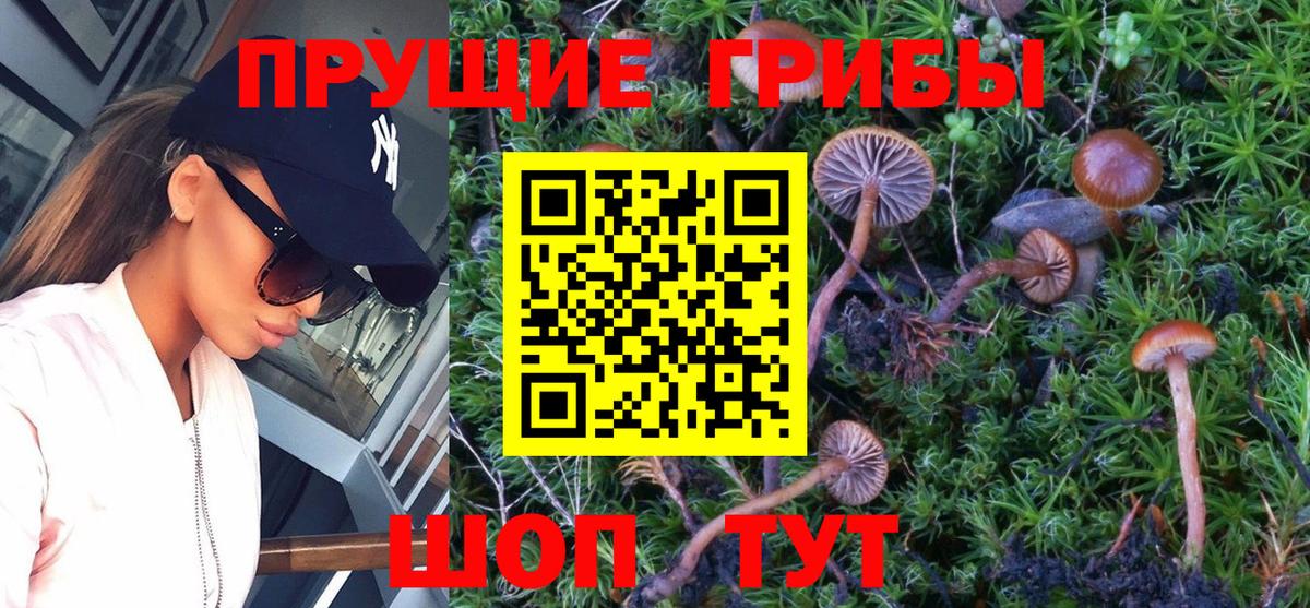 Псилоцибиновые грибы Cubensis  где продают   Туймазы  Вход с VPN 