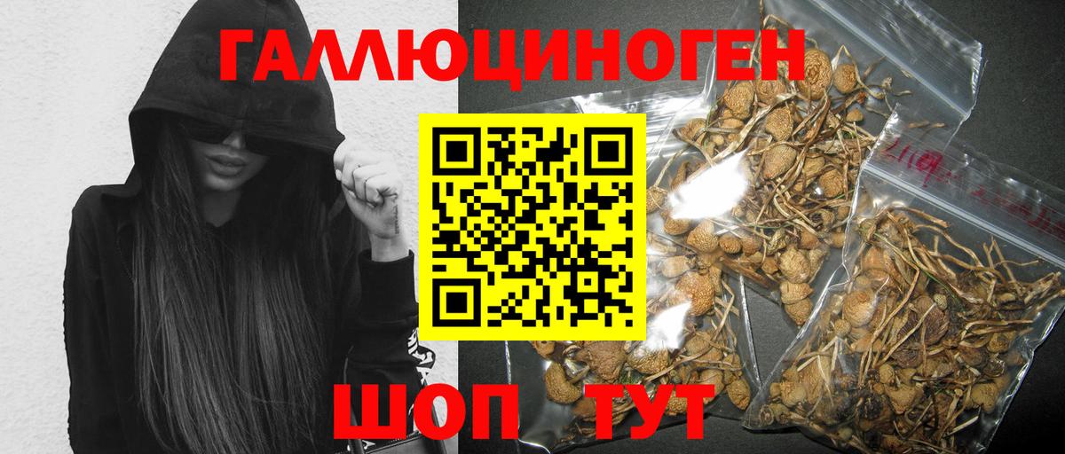 Галлюциногенные грибы мухоморы Туймазы